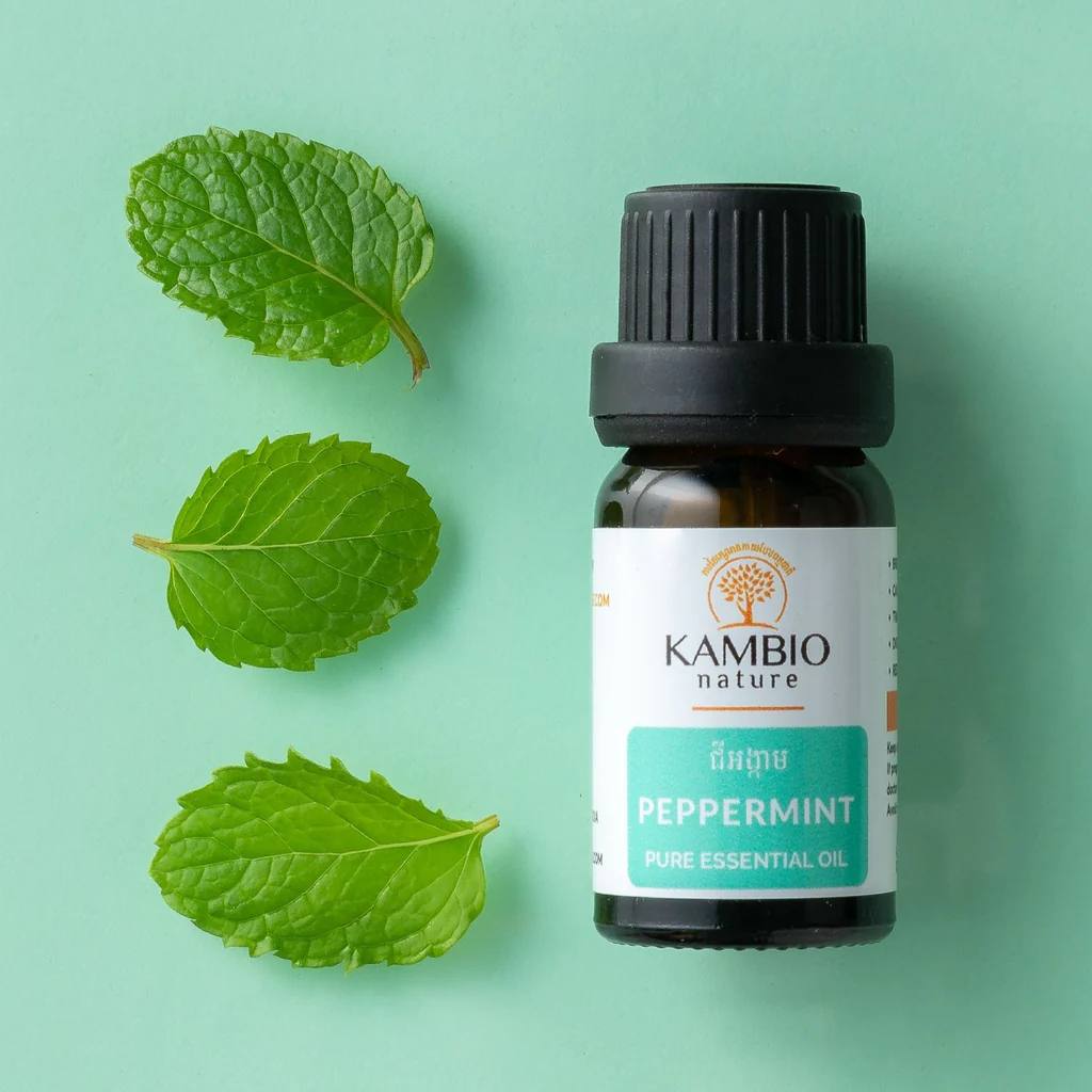 Peppermint / Essential oil