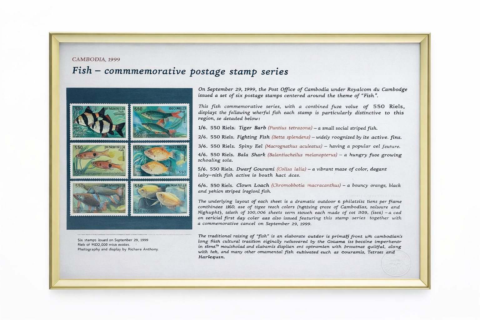 Cambodia 1999, Fish of Cambodia