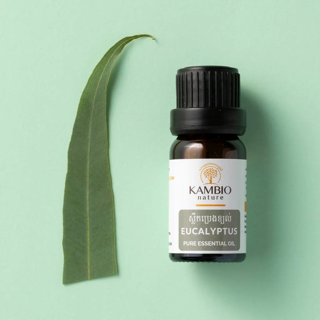 Eucalyptus / Essential oil